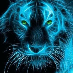 Meet your Posher, Misty